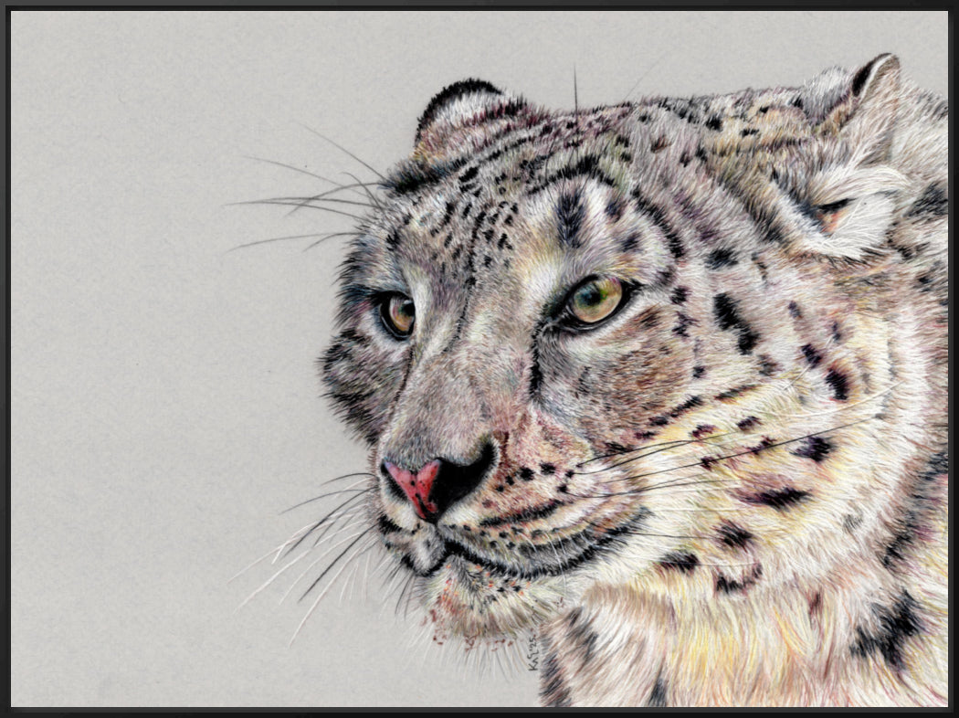 "Adaptation" Canvas Print