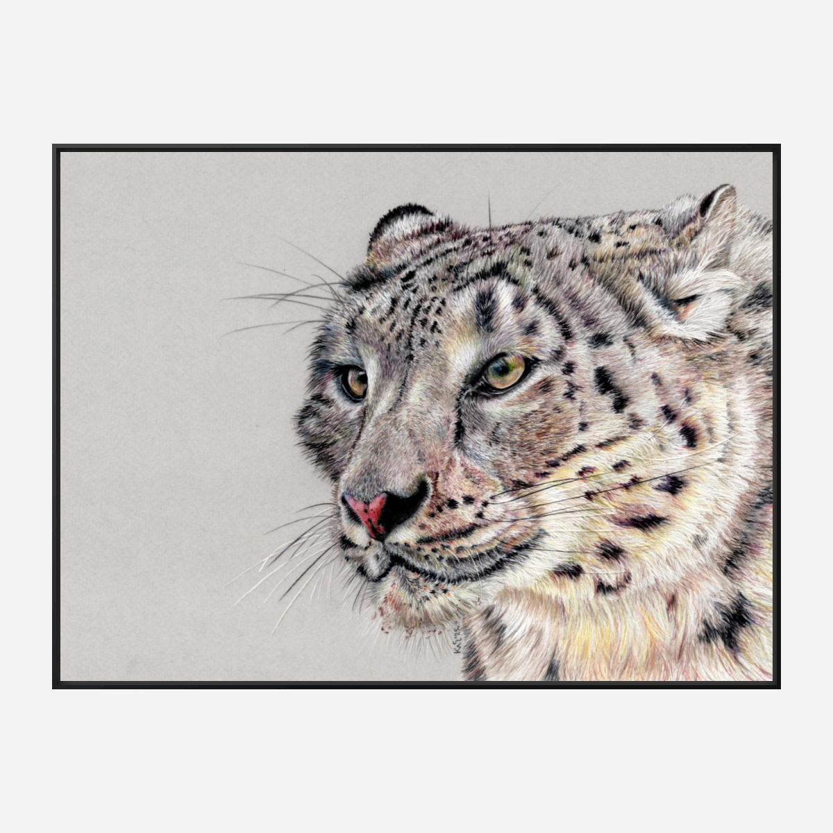 "Adaptation" Canvas Print