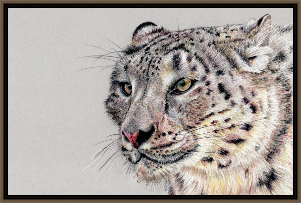 "Adaptation" Canvas Print