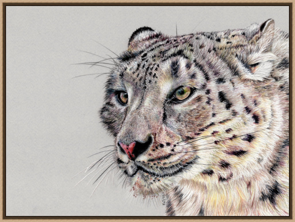 "Adaptation" Canvas Print