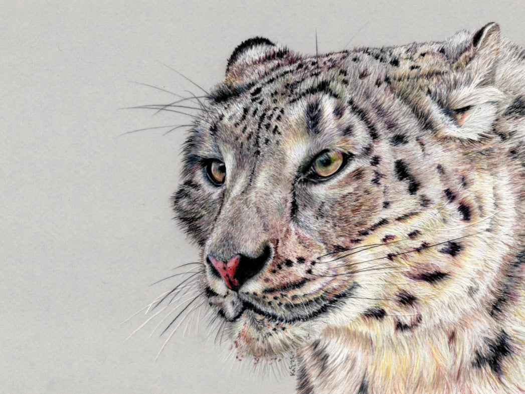 "Adaptation" Canvas Print