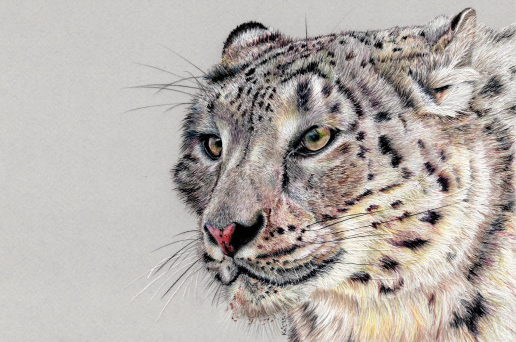 "Adaptation" Canvas Print