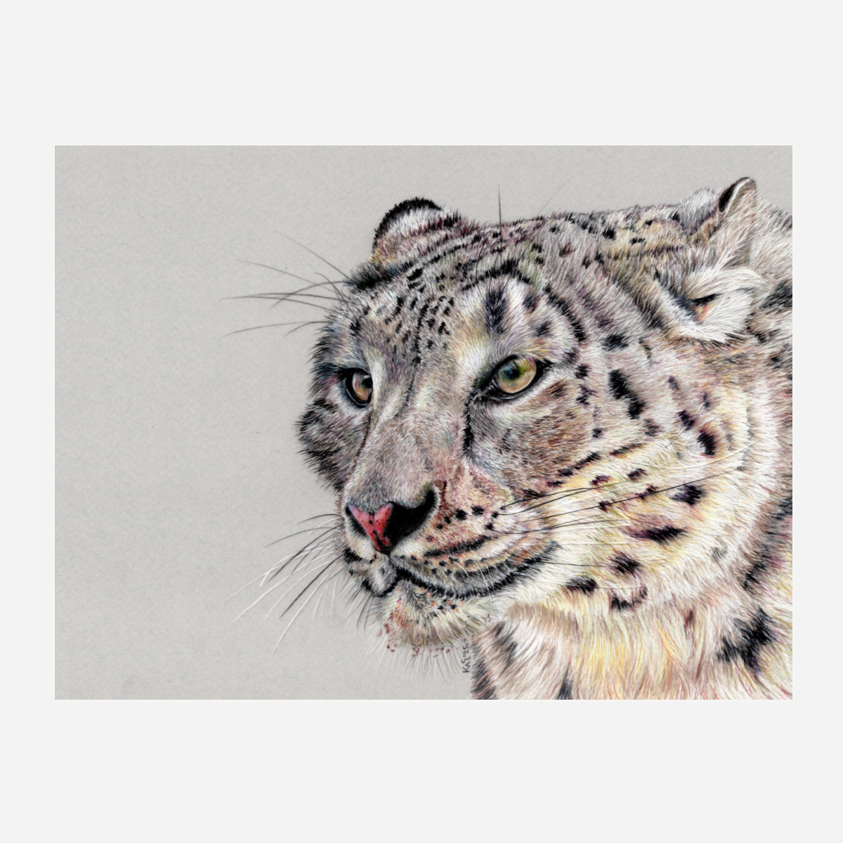 "Adaptation" Canvas Print