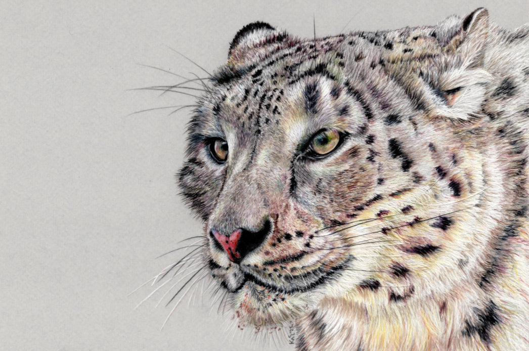 "Adaptation" Canvas Print