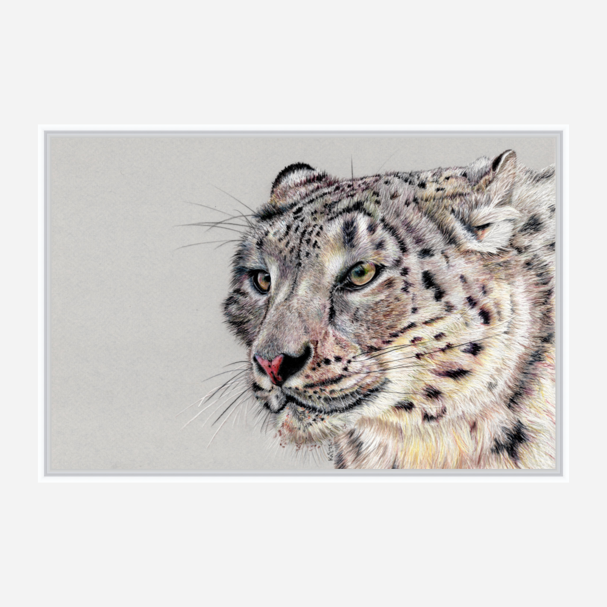 "Adaptation" Canvas Print