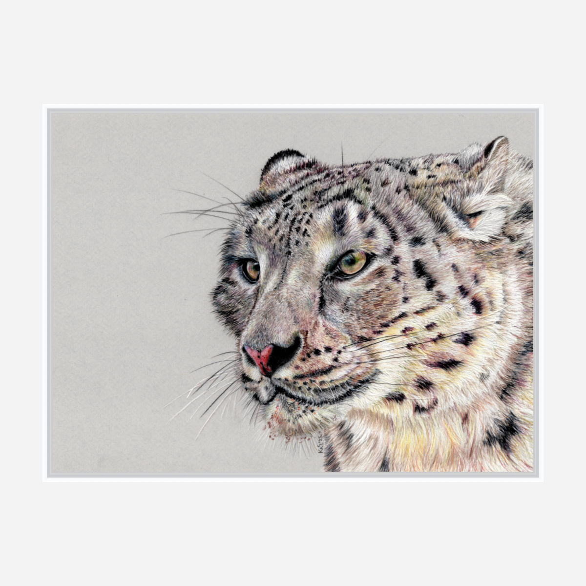 "Adaptation" Canvas Print