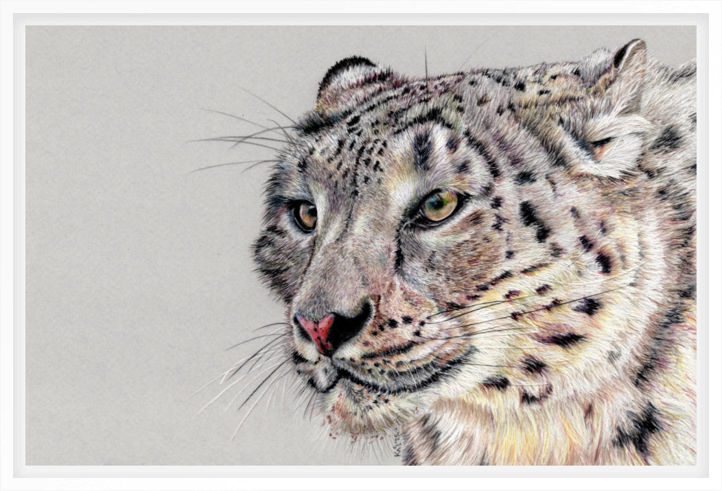 "Adaptation" Canvas Print