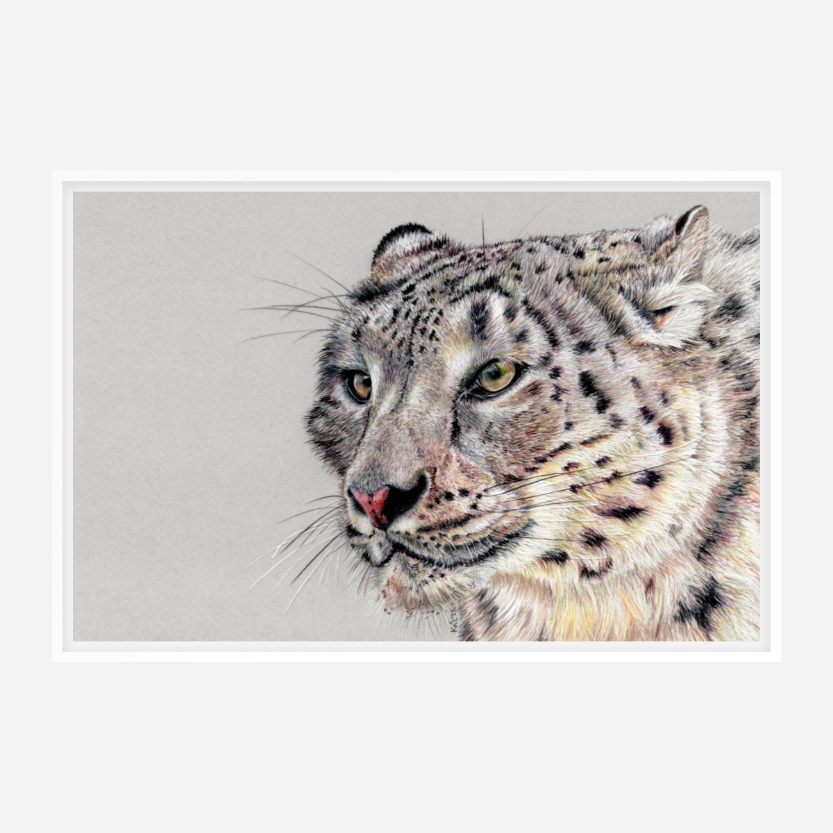 "Adaptation" Canvas Print