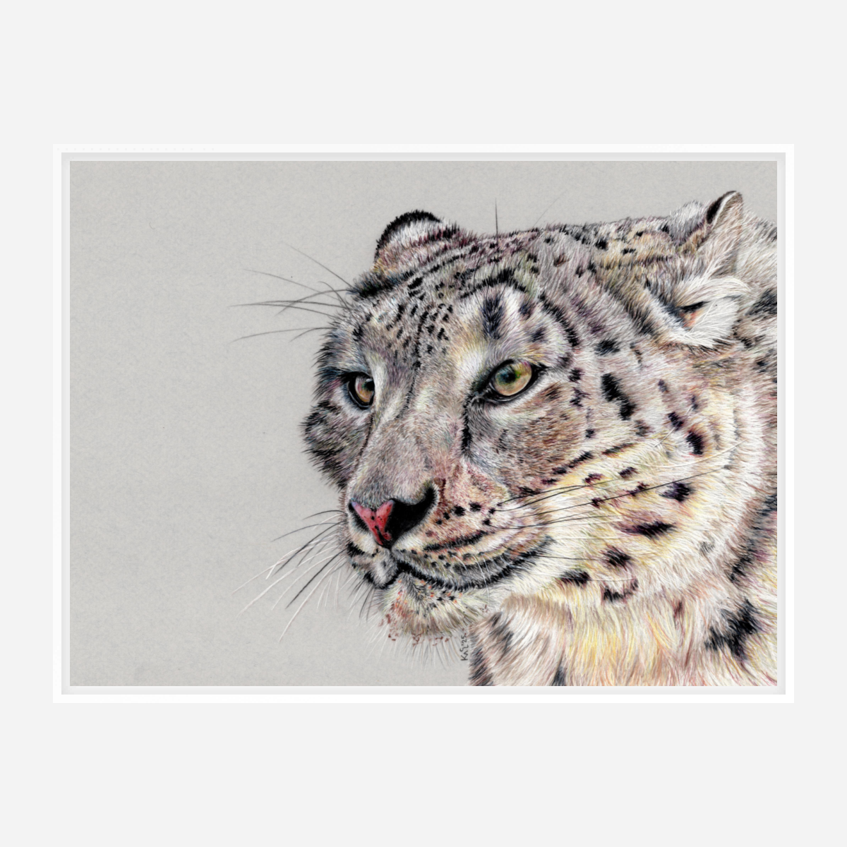 "Adaptation" Canvas Print