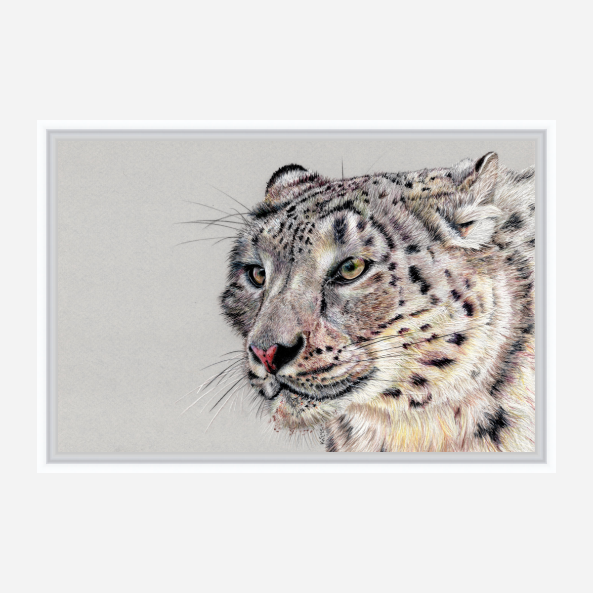 "Adaptation" Canvas Print