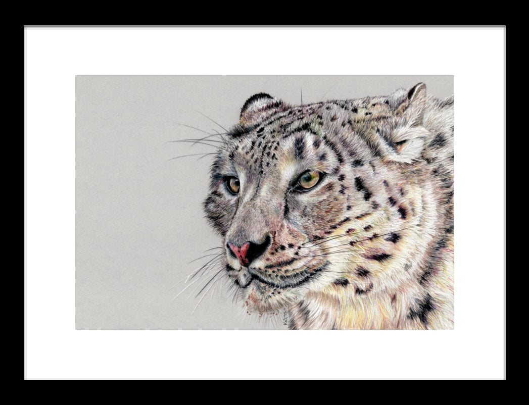 "Adaptation" Framed Fine Art Print