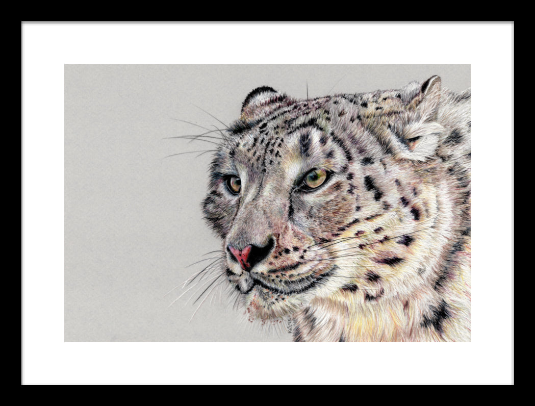 "Adaptation" Framed Fine Art Print