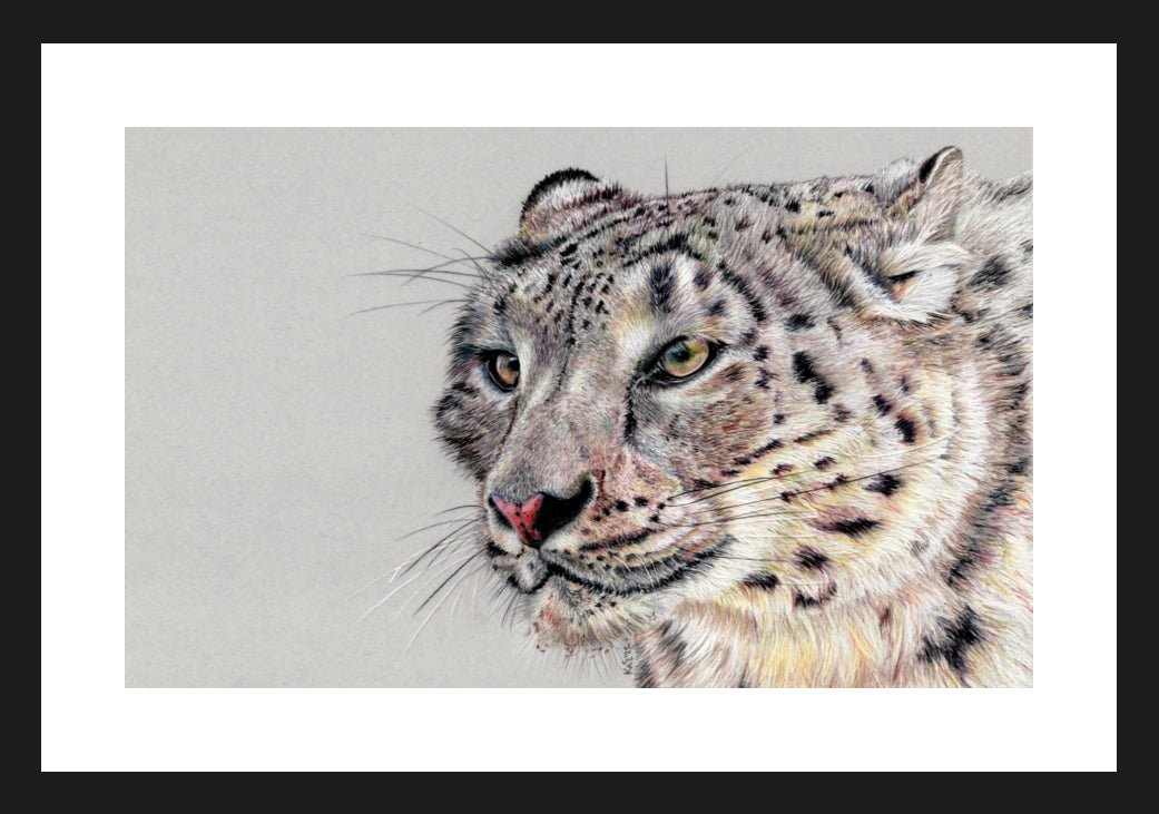 "Adaptation" Framed Fine Art Print