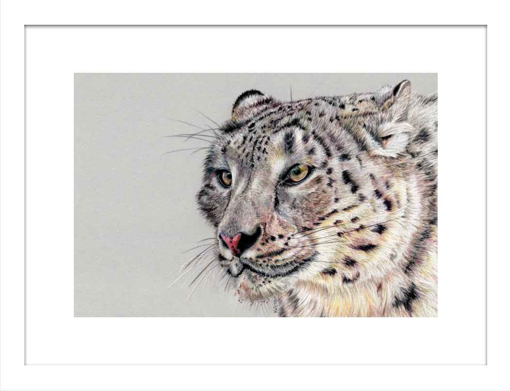 "Adaptation" Framed Fine Art Print