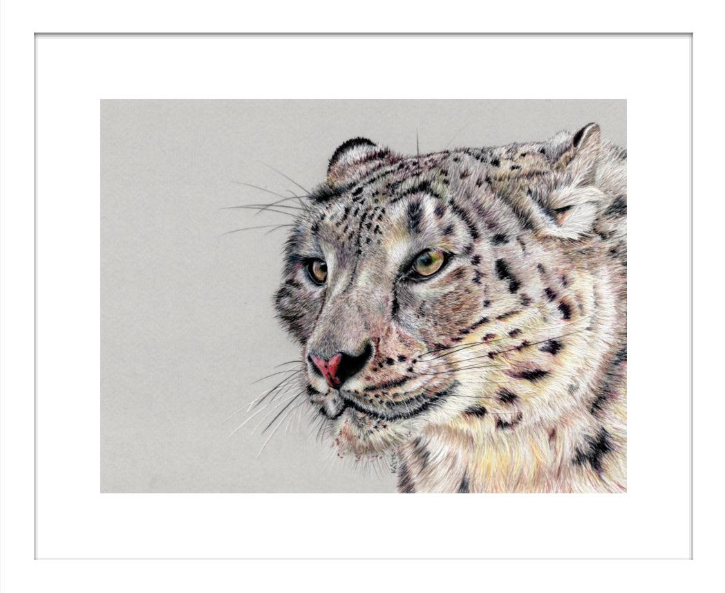 "Adaptation" Framed Fine Art Print