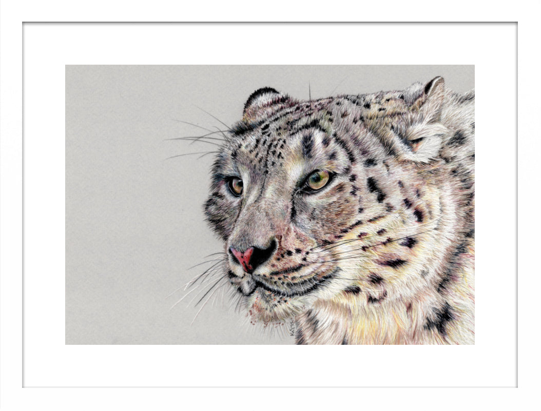 "Adaptation" Framed Fine Art Print