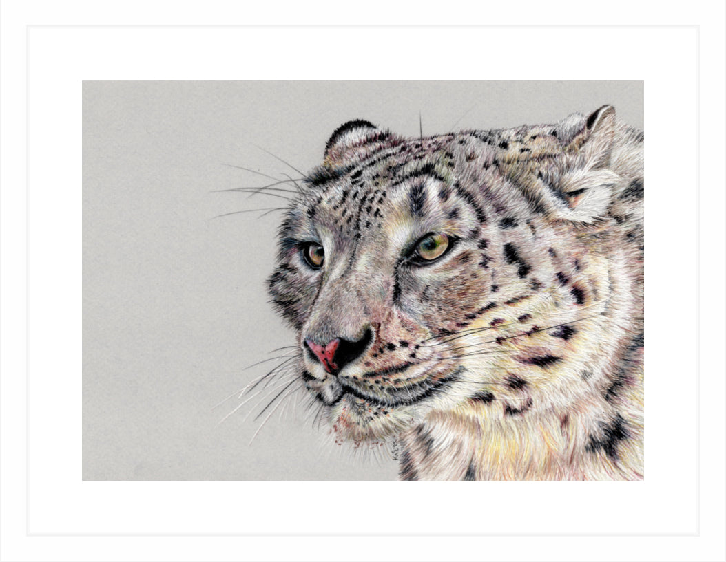 "Adaptation" Framed Fine Art Print