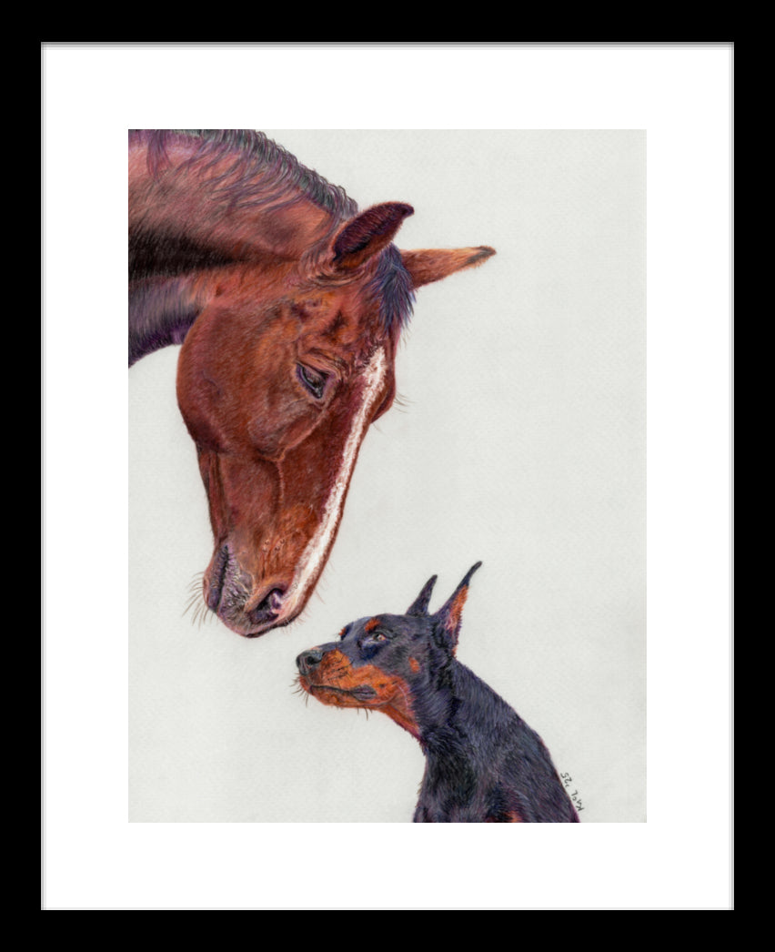 "Aspirations" Framed Fine Art Print