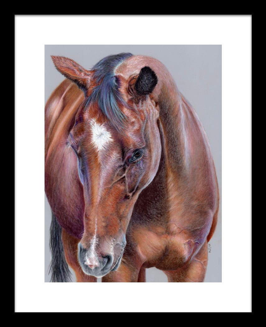 "Beauty At Bay" Framed Fine Art Print