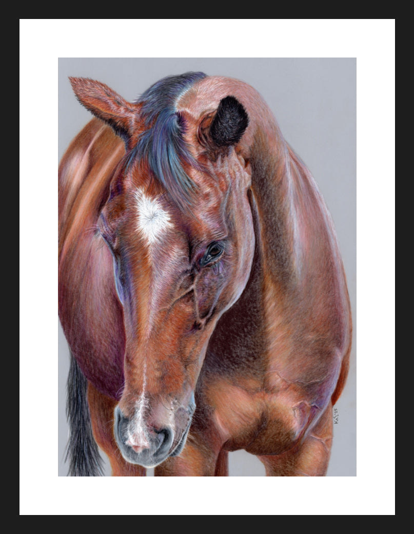 "Beauty At Bay" Framed Fine Art Print