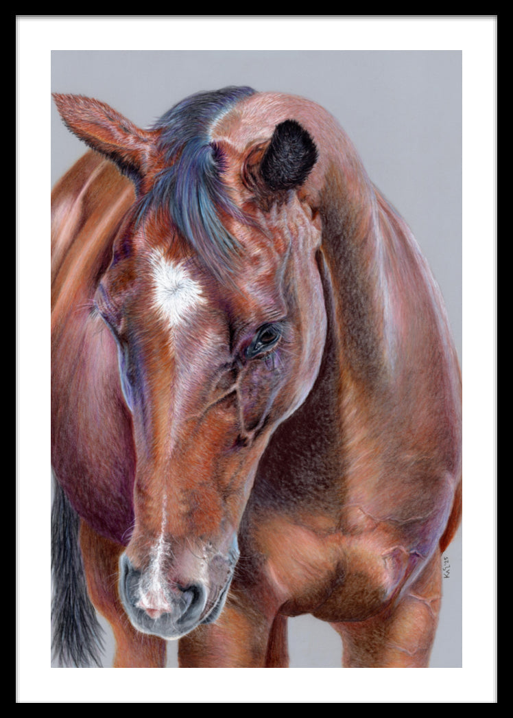 "Beauty At Bay" Framed Fine Art Print