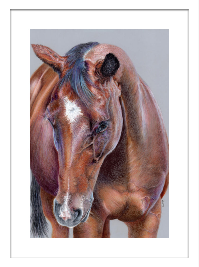 "Beauty At Bay" Framed Fine Art Print