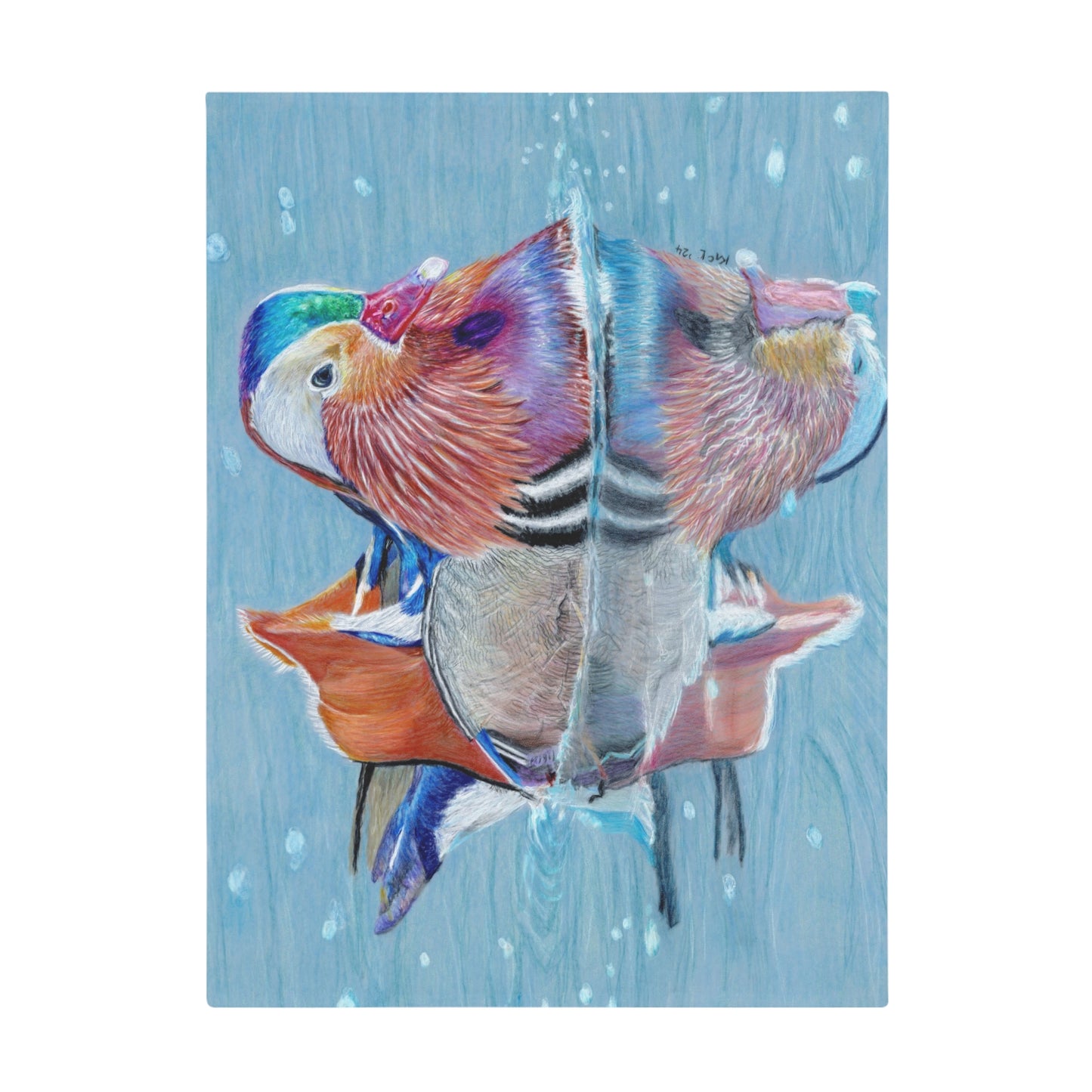 Best Friends Blanket