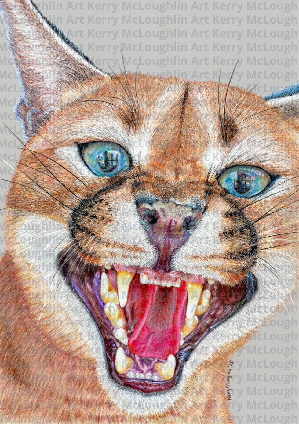 "Dental Check" Unframed Fine Art Print