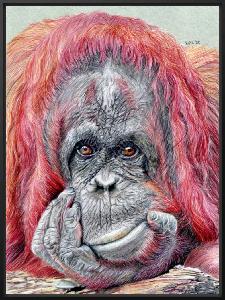 "Contemplation" Canvas Print