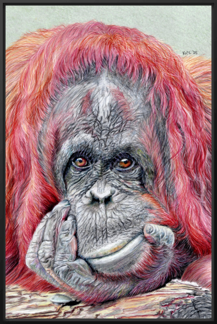 "Contemplation" Canvas Print