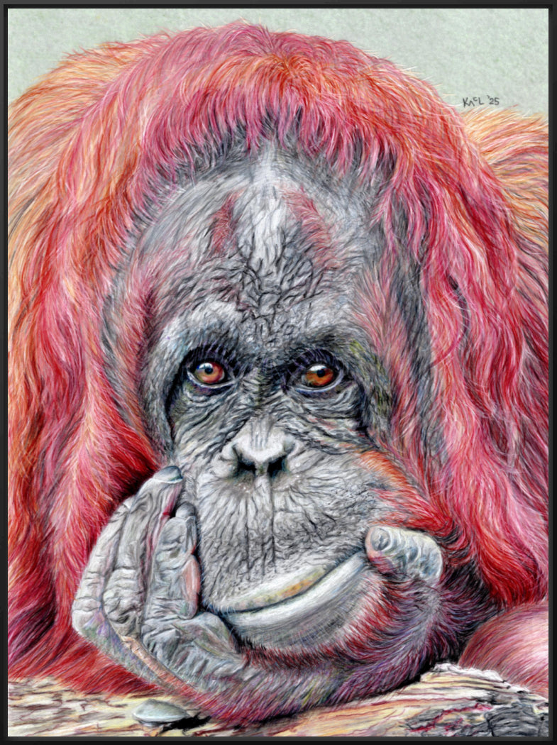 "Contemplation" Canvas Print