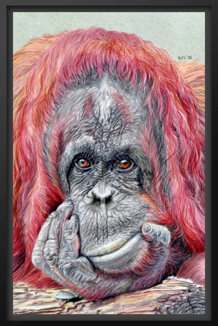 "Contemplation" Canvas Print