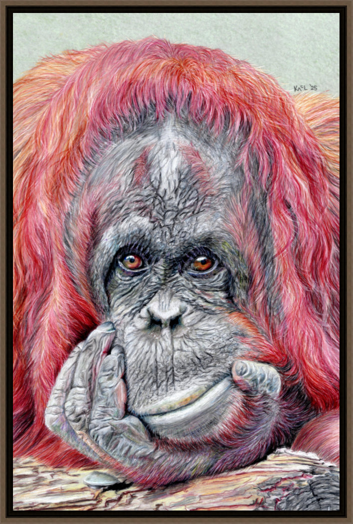 "Contemplation" Canvas Print