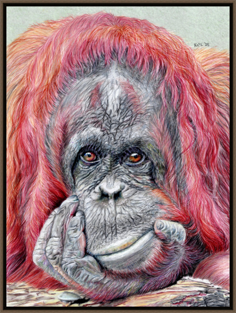 "Contemplation" Canvas Print