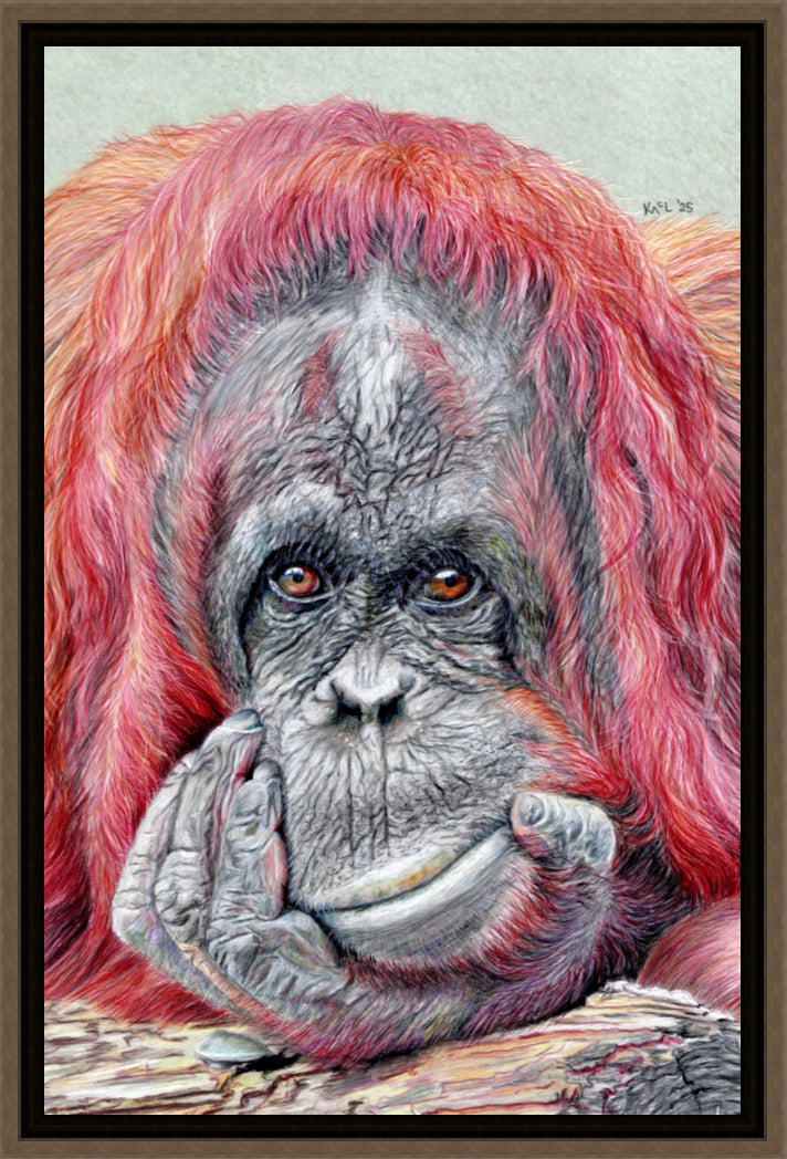 "Contemplation" Canvas Print