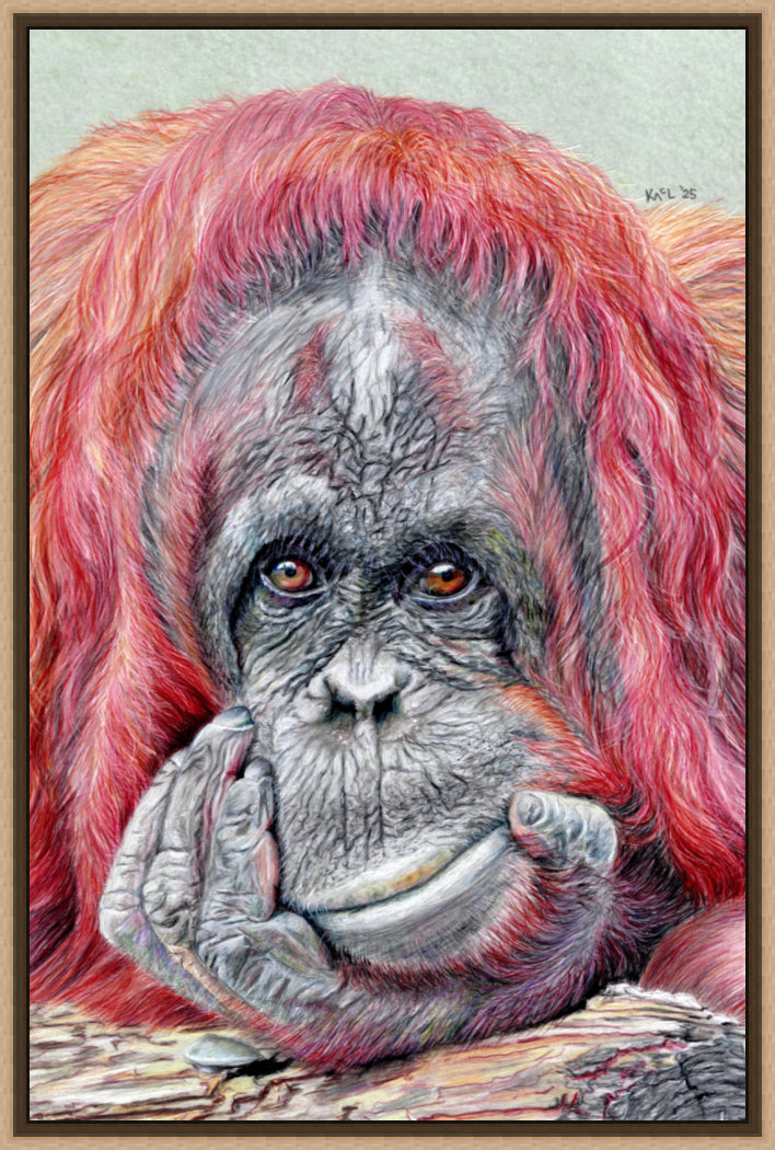 "Contemplation" Canvas Print