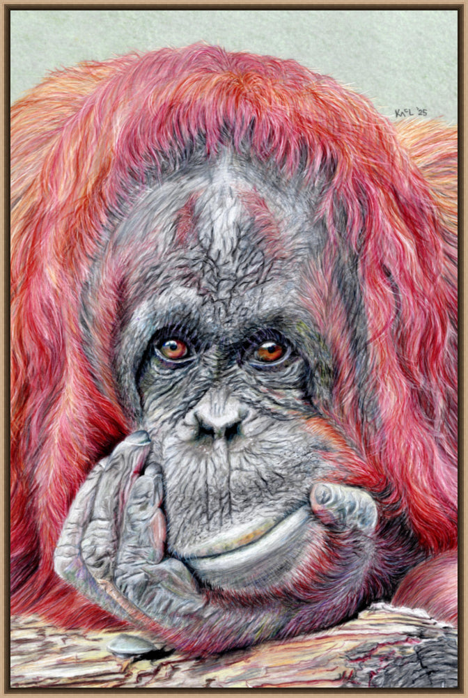 "Contemplation" Canvas Print