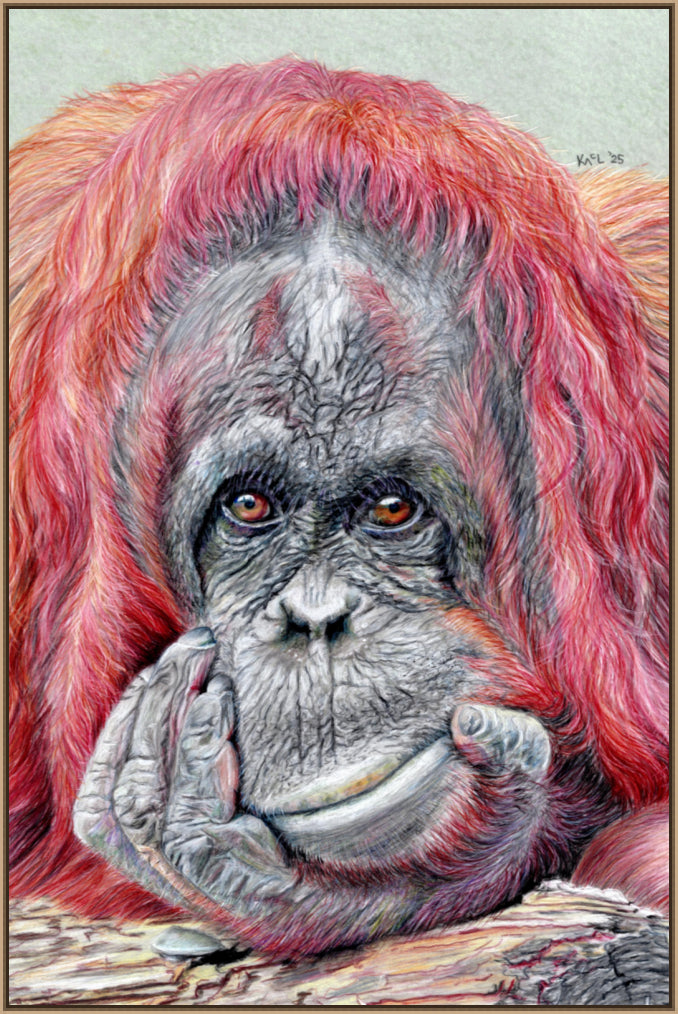 "Contemplation" Canvas Print