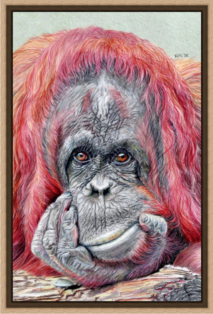 "Contemplation" Canvas Print
