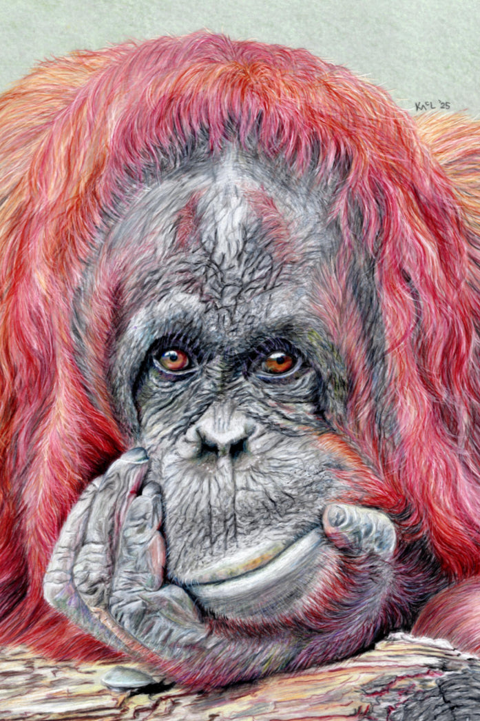 "Contemplation" Canvas Print