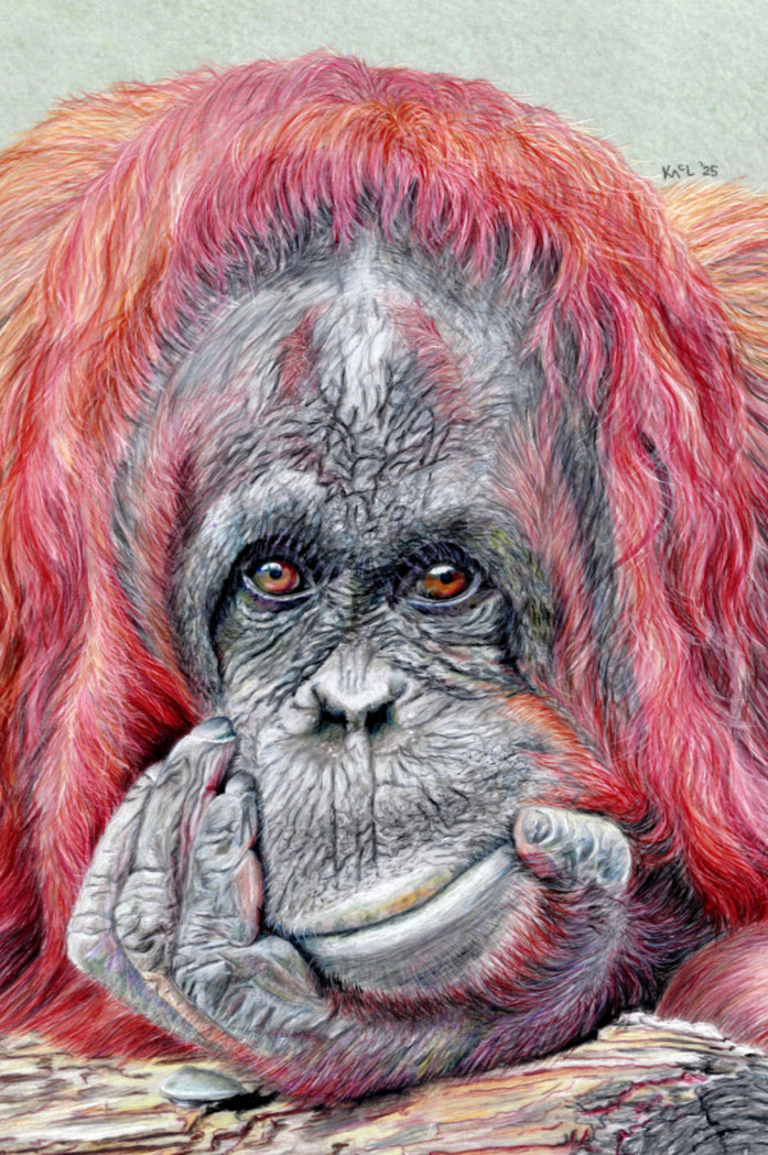 "Contemplation" Canvas Print