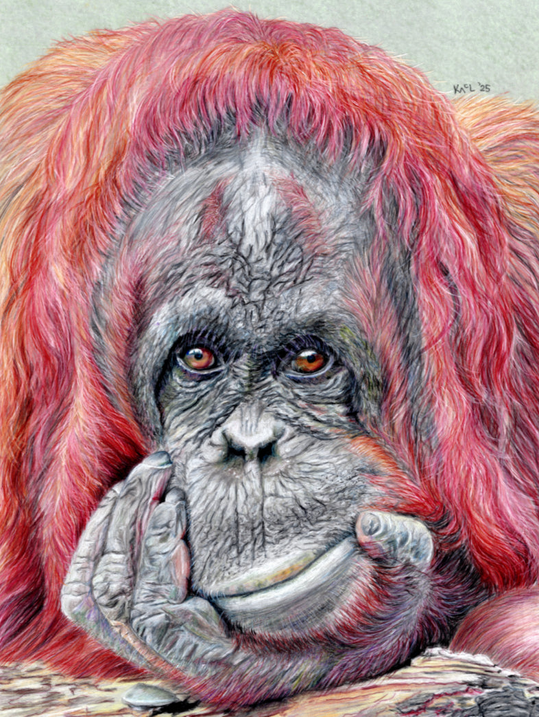 "Contemplation" Canvas Print