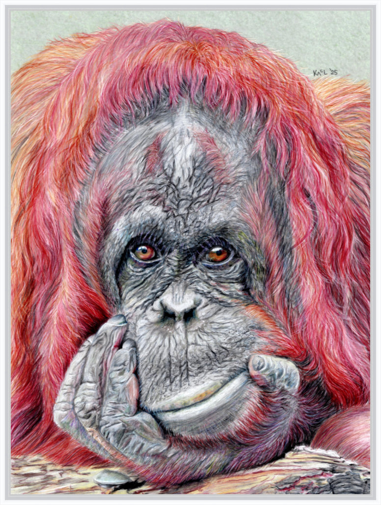 "Contemplation" Canvas Print