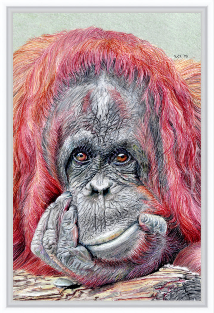 "Contemplation" Canvas Print