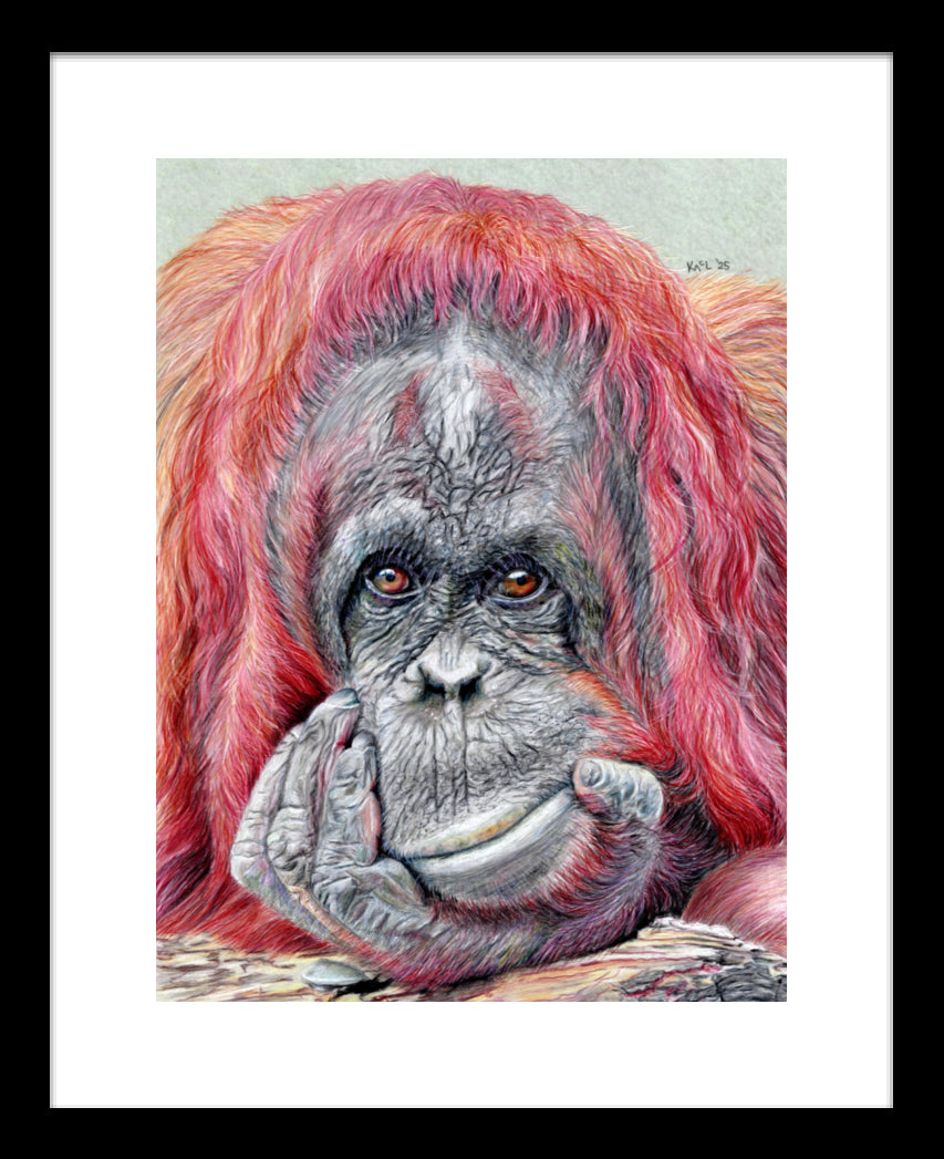 "Contemplation" Framed Fine Art Print