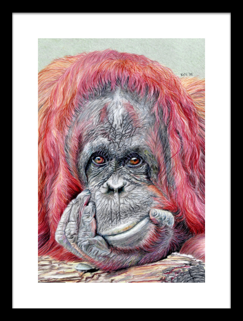 "Contemplation" Framed Fine Art Print
