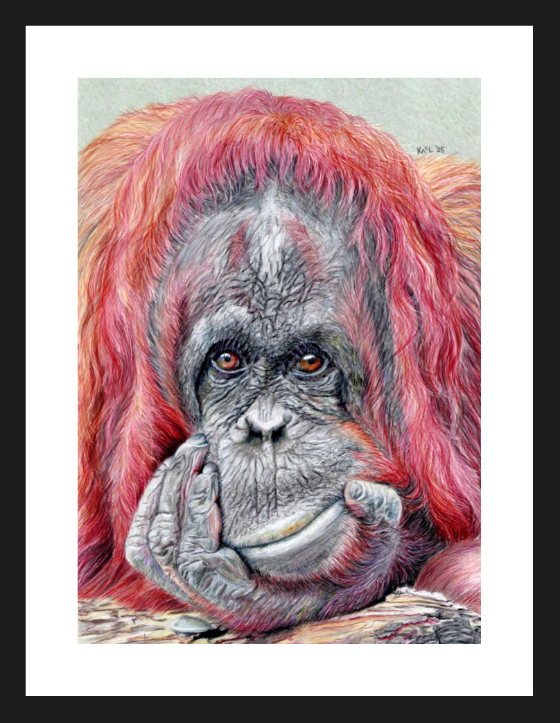"Contemplation" Framed Fine Art Print