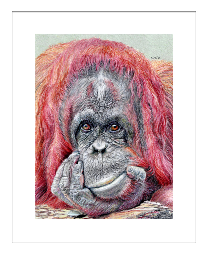 "Contemplation" Framed Fine Art Print