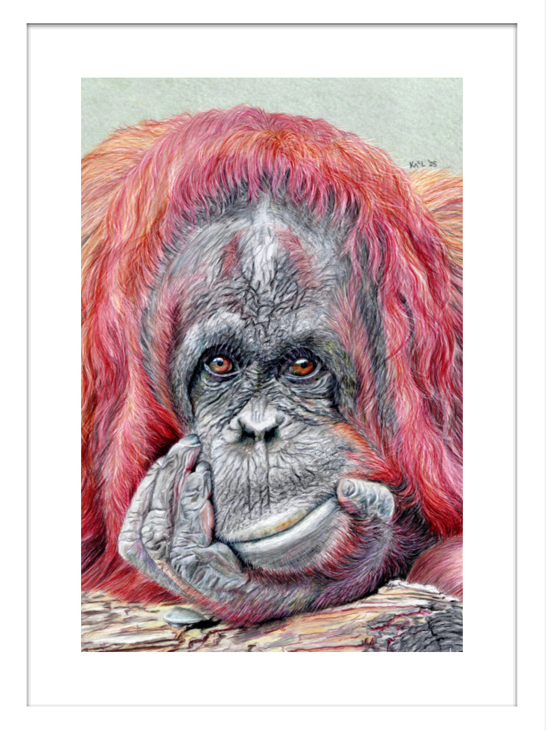 "Contemplation" Framed Fine Art Print