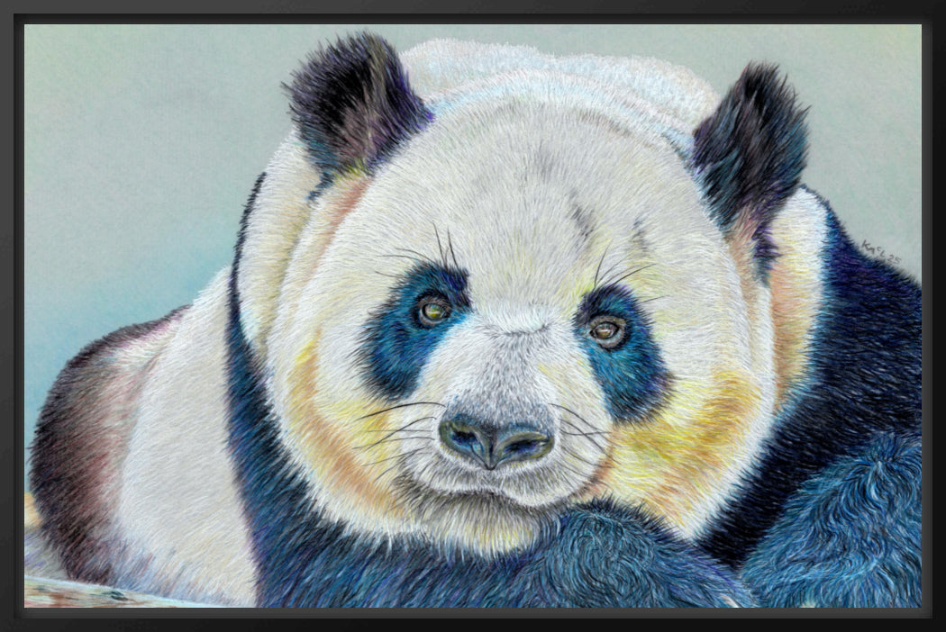 "Daydreamer" Canvas Print